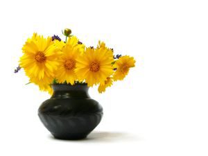 kwiaty-w-wazonie